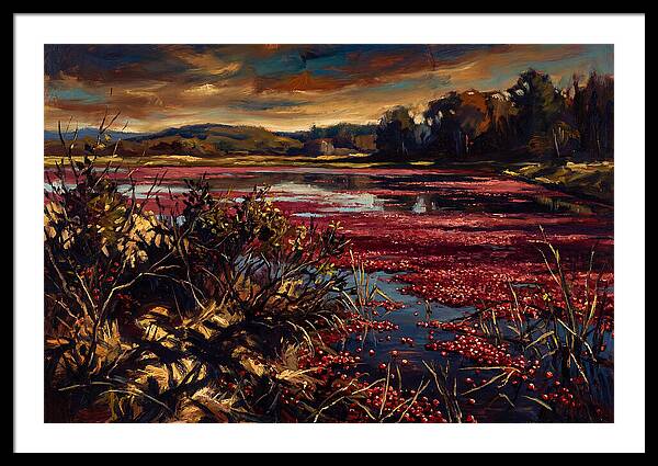 Cranberry Bog Serenity