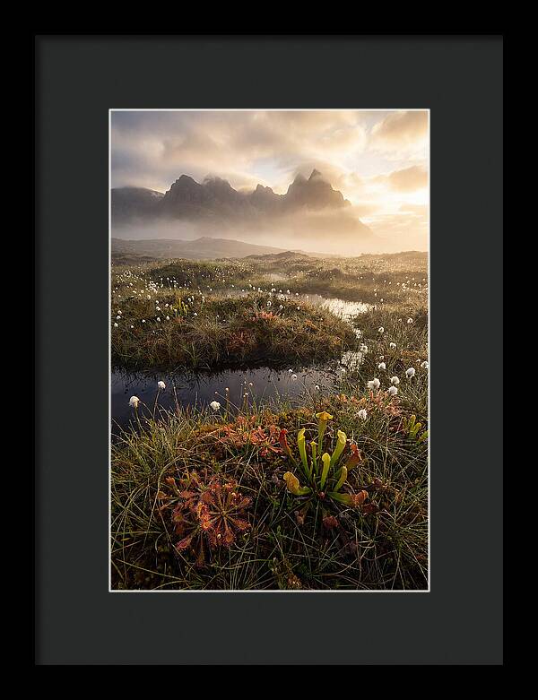 Cranberry Glades Serenity
