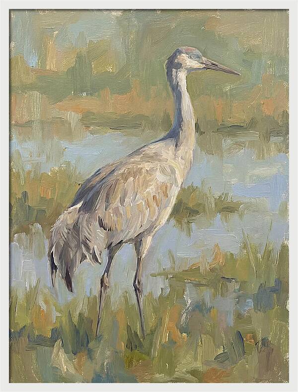 Crane In Tranquil Waters