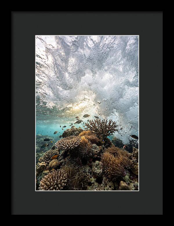Crashing Tides Of Coral