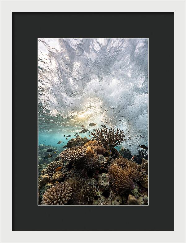 Crashing Tides Of Coral