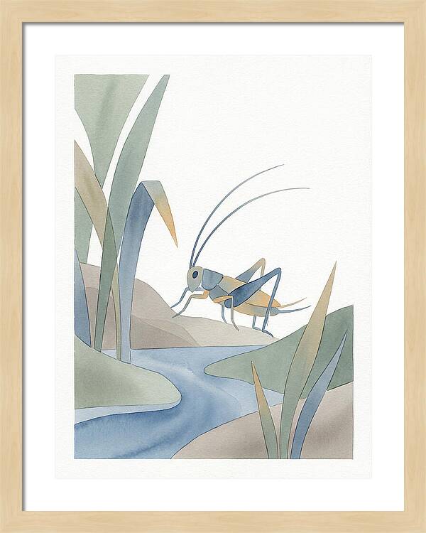 Cricket Among The Grass