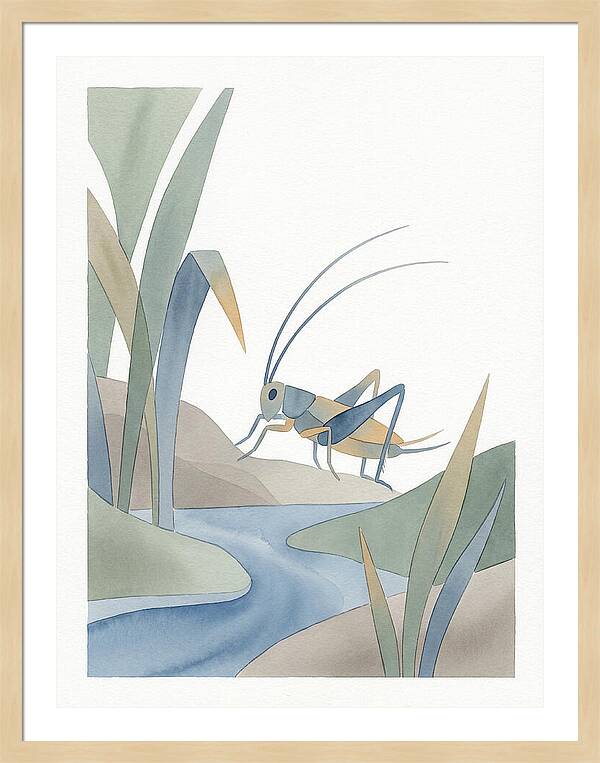 Cricket Among The Grass