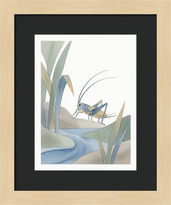 Cricket Among The Grass