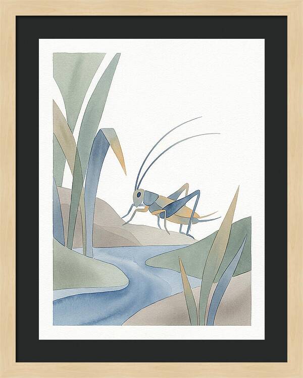 Cricket Among The Grass