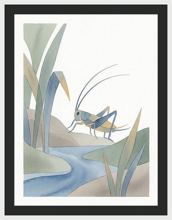 Cricket Among The Grass