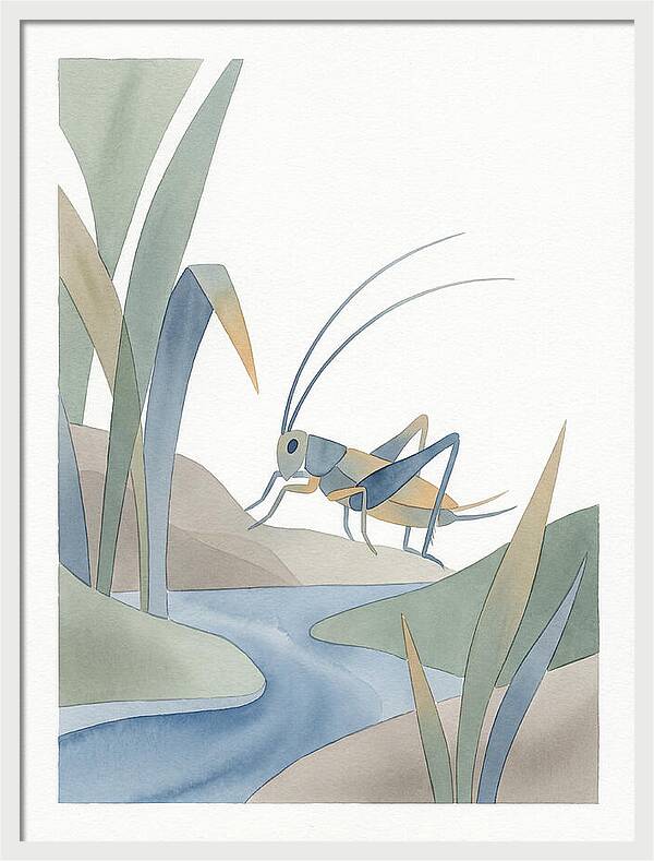 Cricket Among The Grass