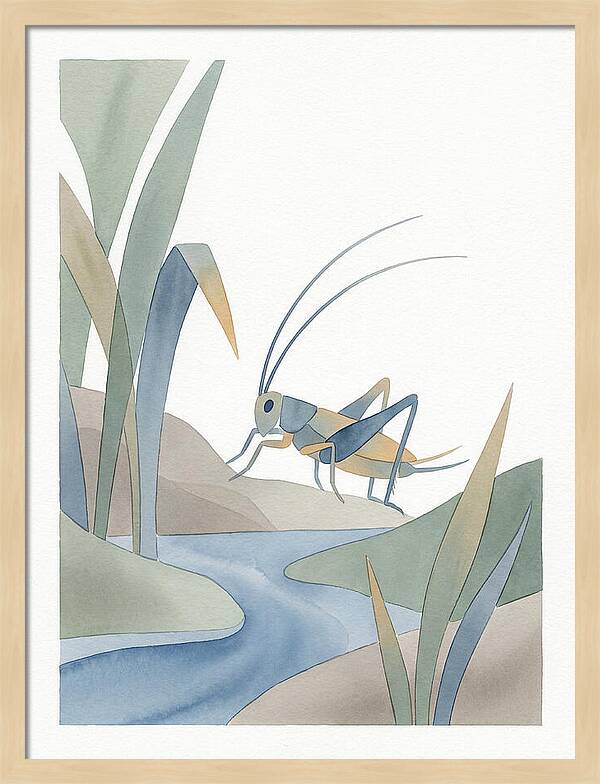 Cricket Among The Grass