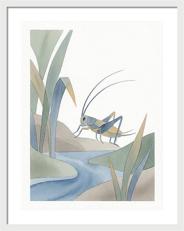 Cricket Among The Grass