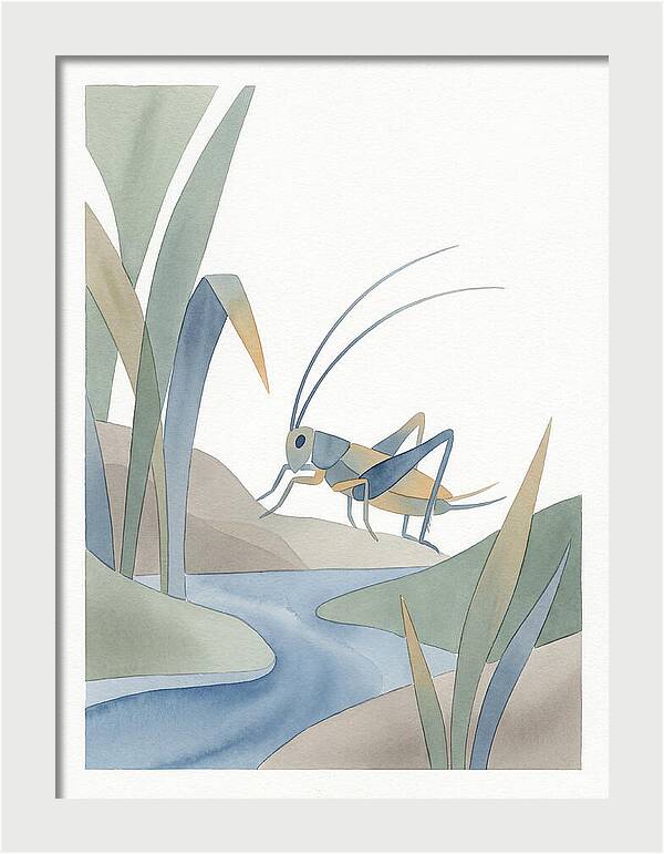 Cricket Among The Grass