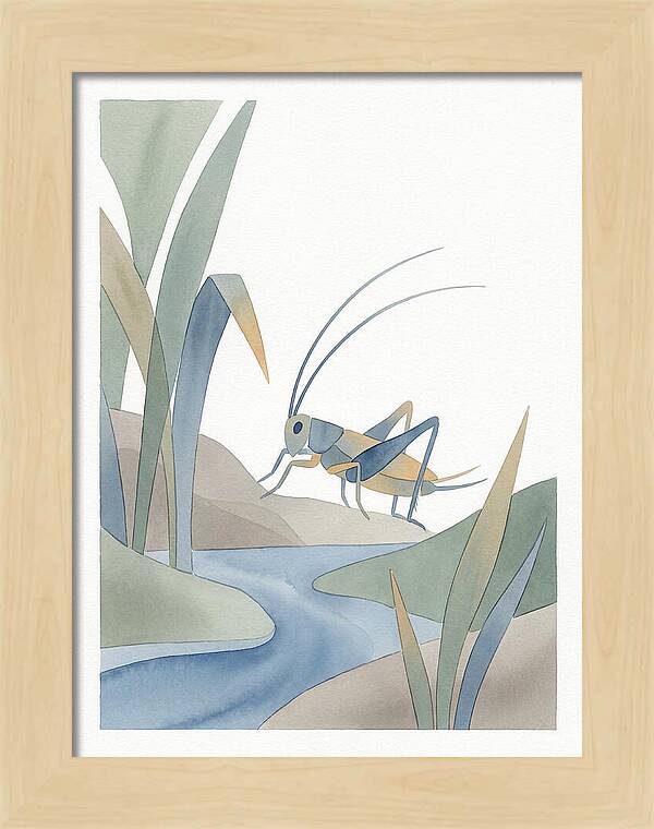 Cricket Among The Grass
