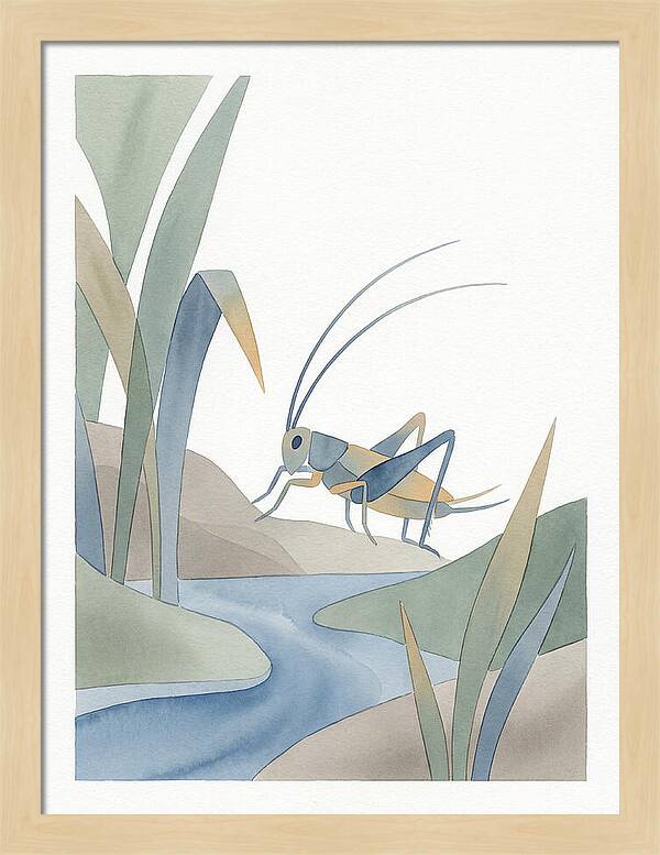 Cricket Among The Grass