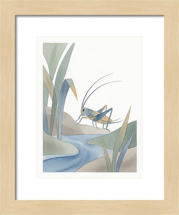 Cricket Among The Grass