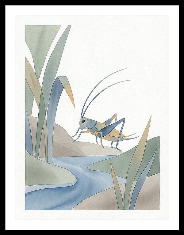 Cricket Among The Grass