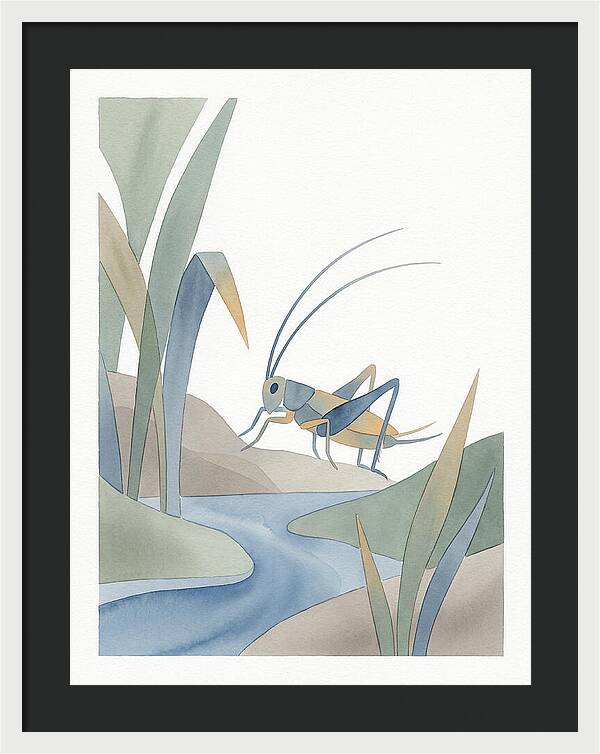 Cricket Among The Grass