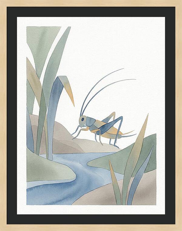 Cricket Among The Grass