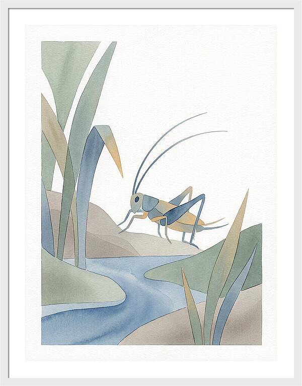 Cricket Among The Grass