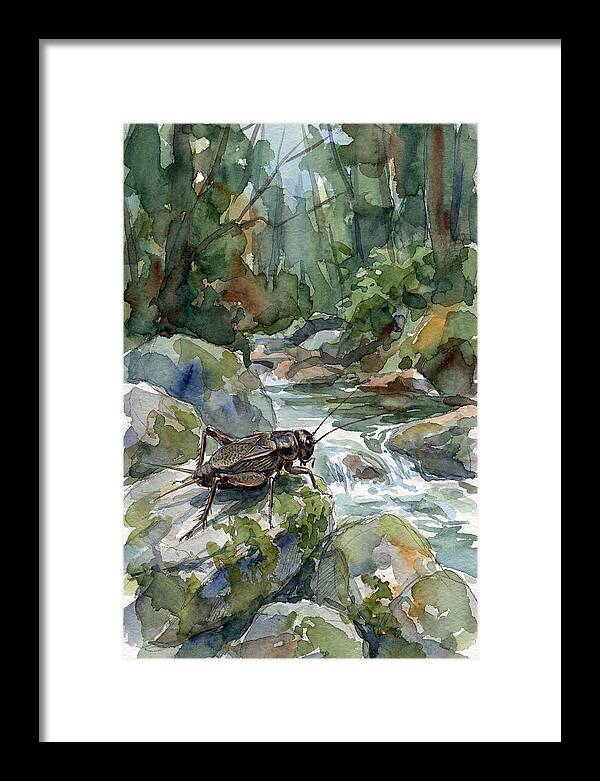 Cricket By The Stream