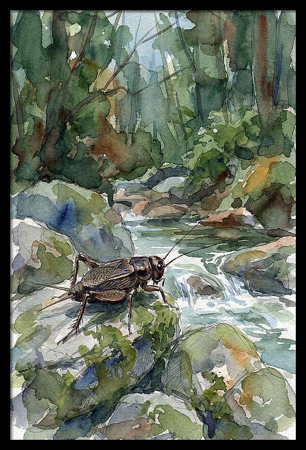 Cricket By The Stream