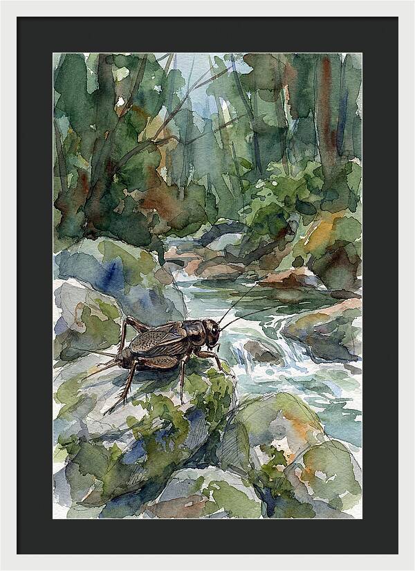 Cricket By The Stream