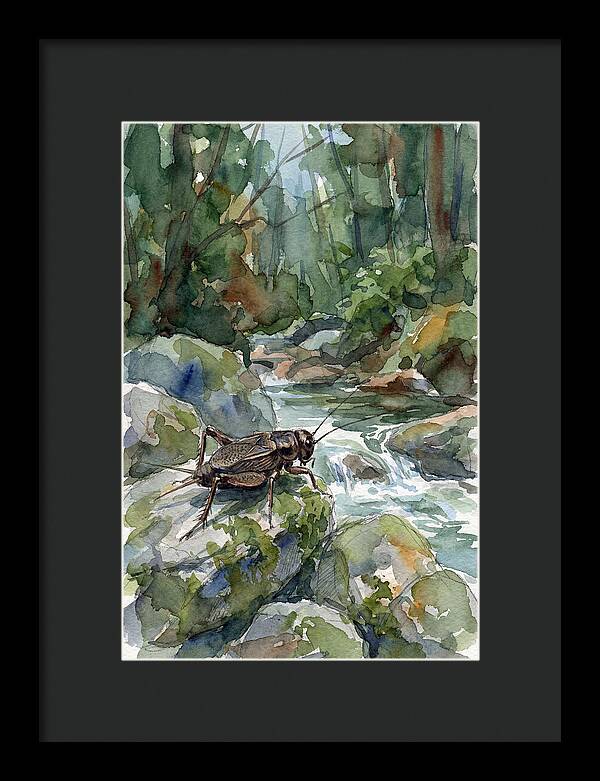Cricket By The Stream