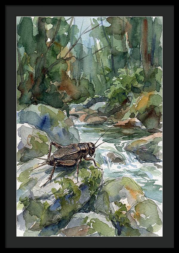 Cricket By The Stream