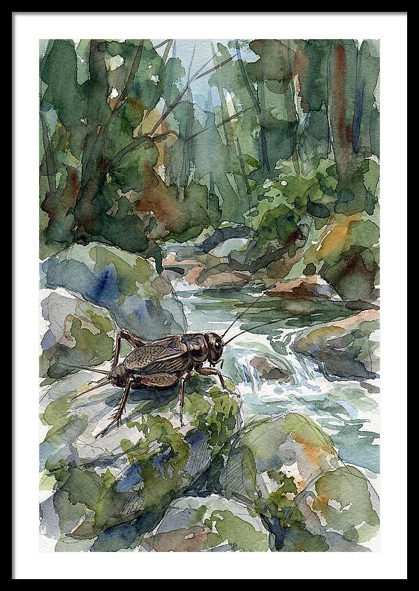 Cricket By The Stream