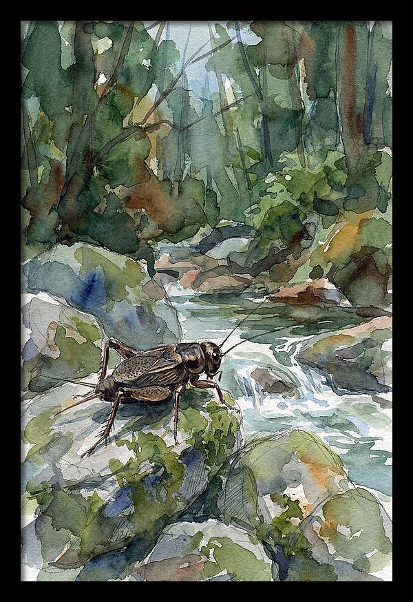 Cricket By The Stream