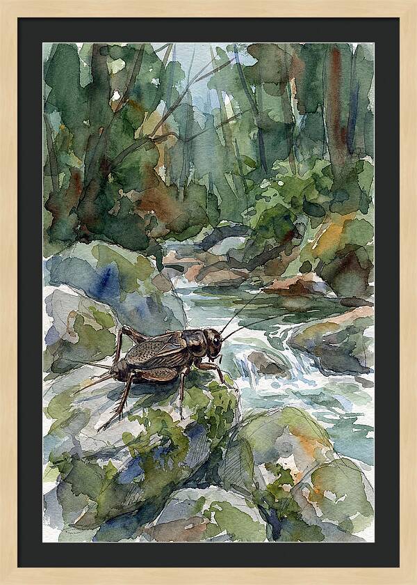 Cricket By The Stream