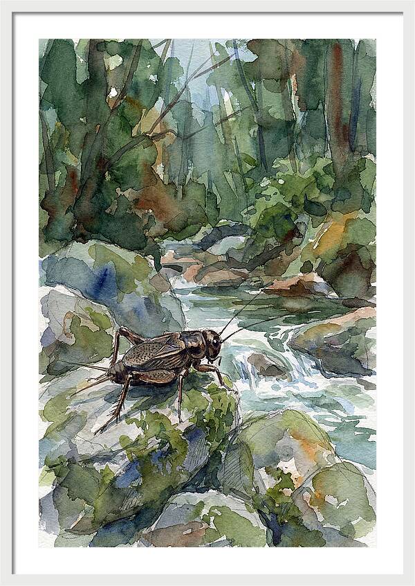 Cricket By The Stream