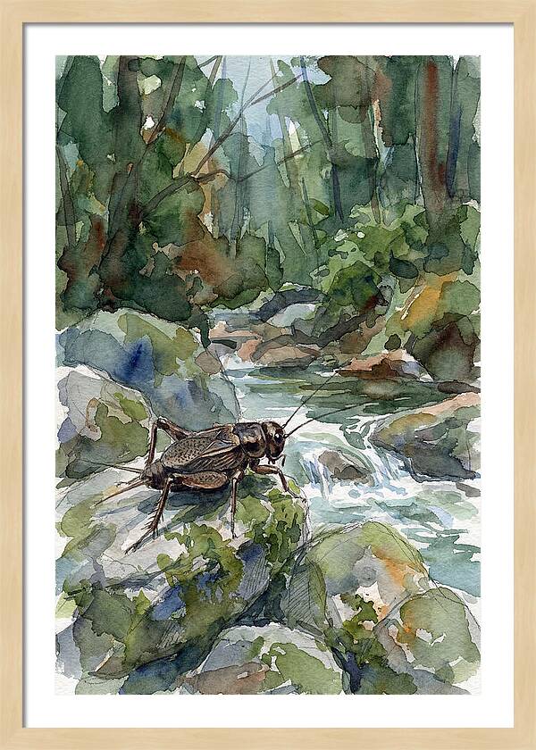 Cricket By The Stream