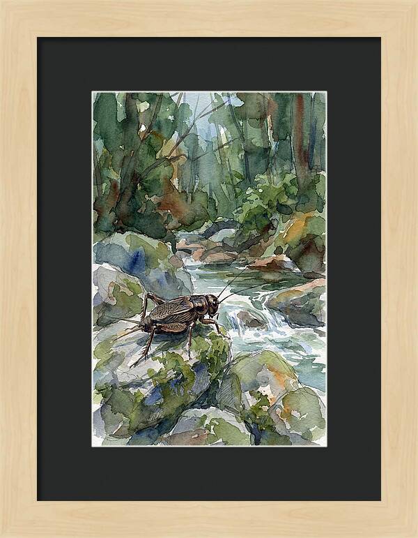 Cricket By The Stream