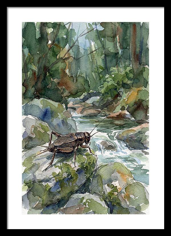 Cricket By The Stream