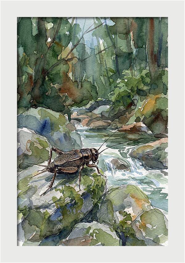 Cricket By The Stream