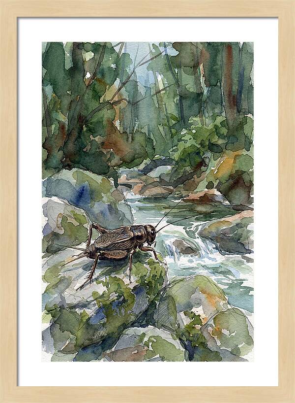 Cricket By The Stream