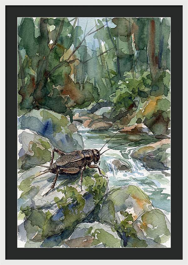 Cricket By The Stream