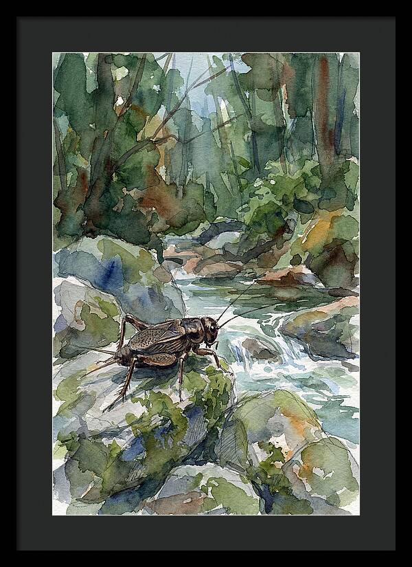 Cricket By The Stream