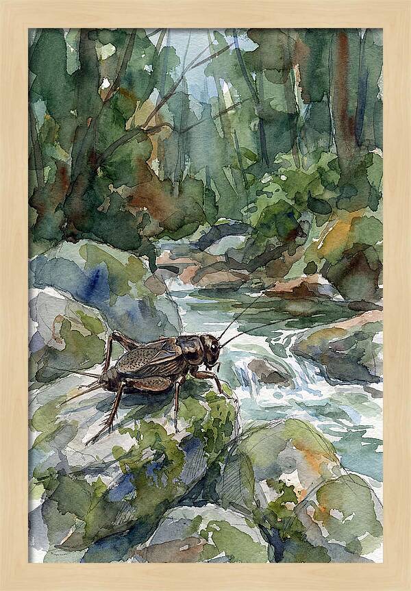 Cricket By The Stream