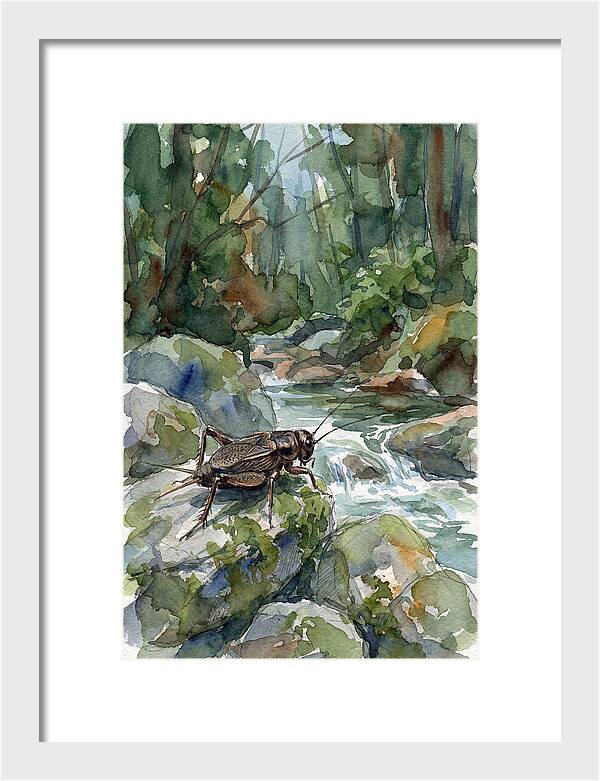Cricket By The Stream