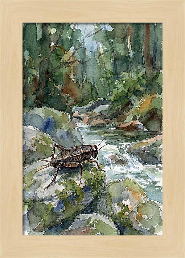 Cricket By The Stream