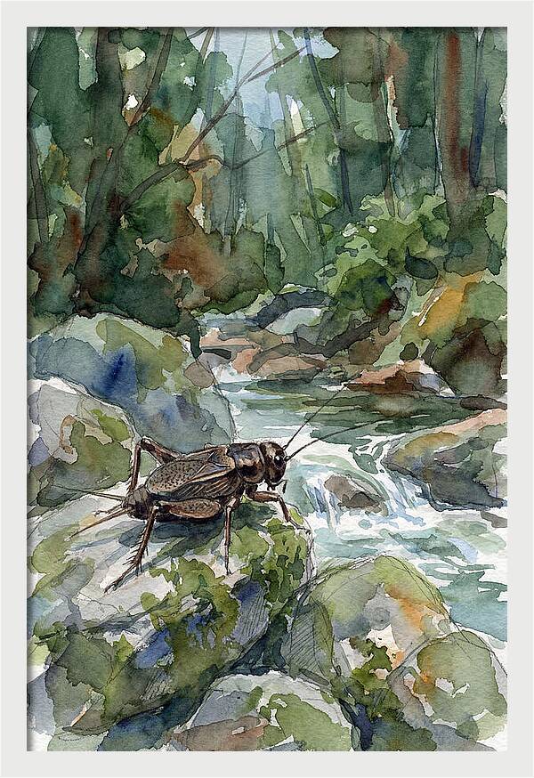 Cricket By The Stream
