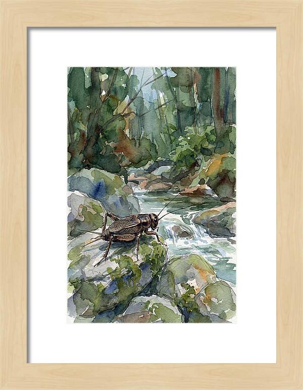 Cricket By The Stream
