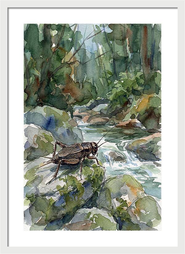 Cricket By The Stream
