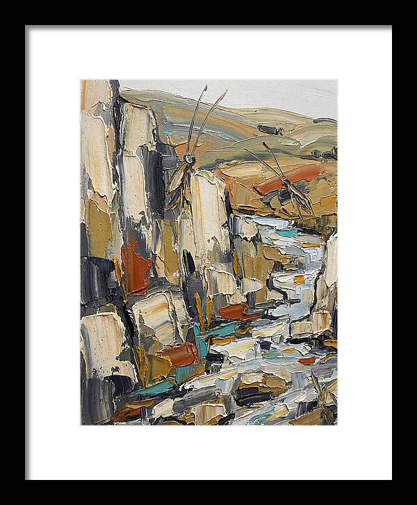 Crickets Among Rocky Terrain