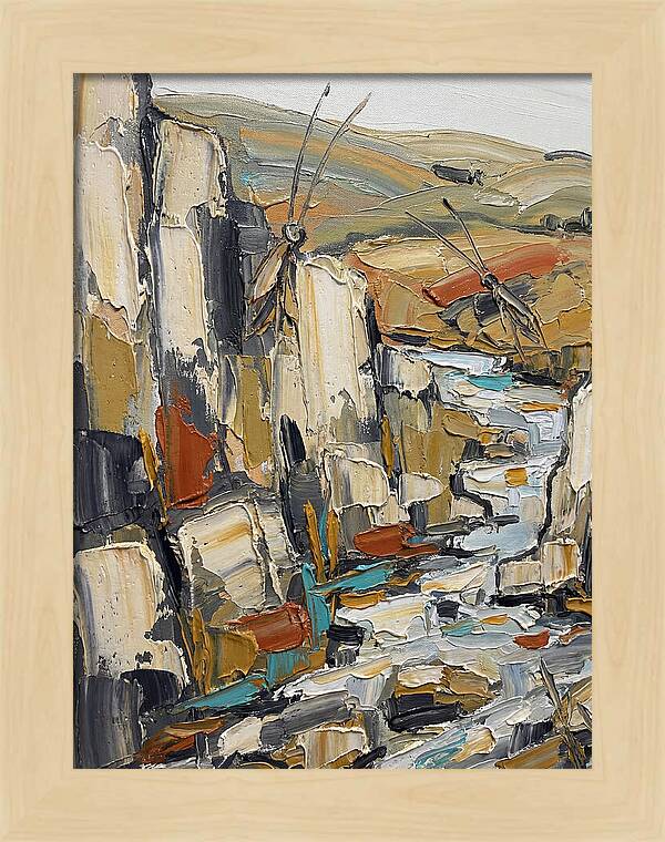 Crickets Among Rocky Terrain