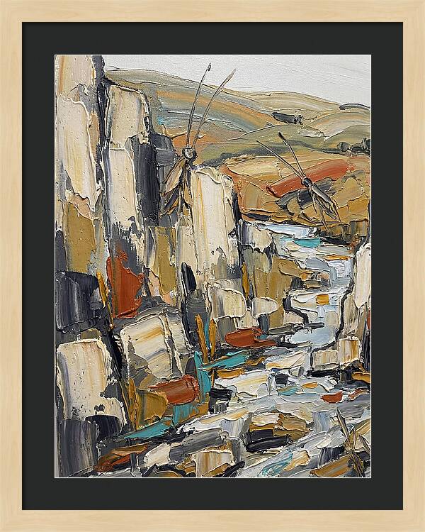 Crickets Among Rocky Terrain