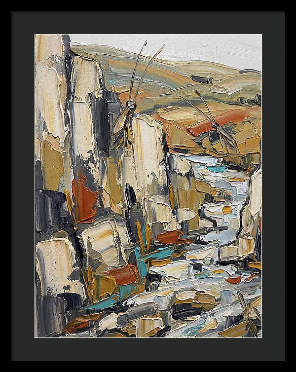 Crickets Among Rocky Terrain