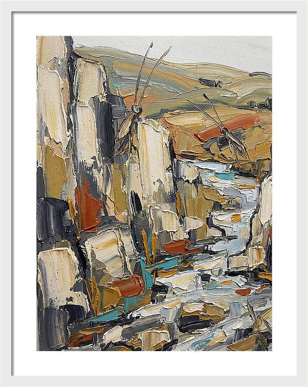 Crickets Among Rocky Terrain