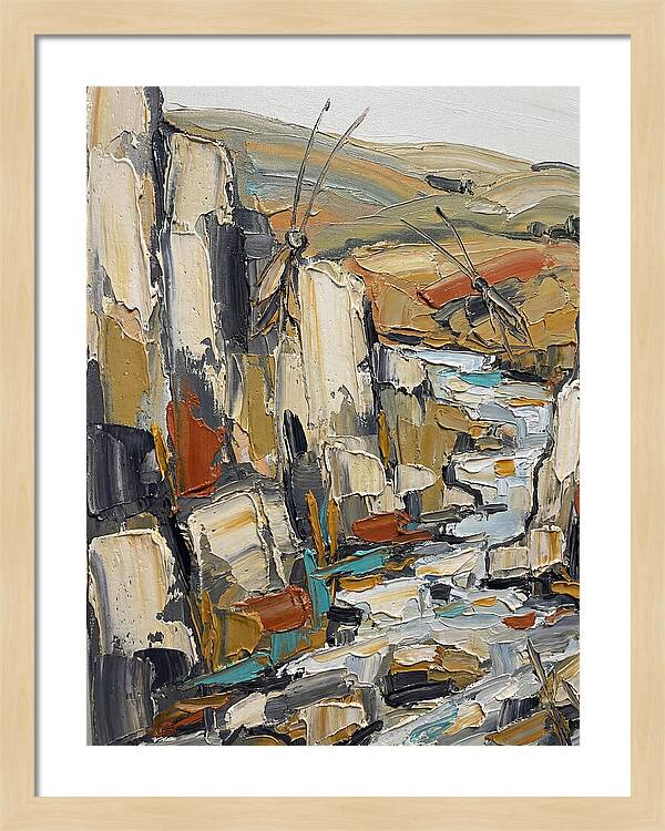 Crickets Among Rocky Terrain