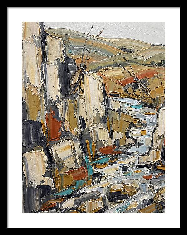 Crickets Among Rocky Terrain
